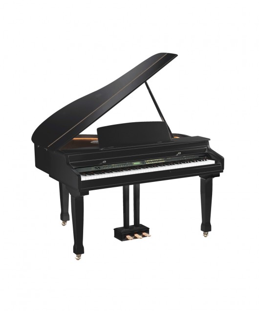 SG-310