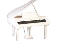 Samick Digital SG-450