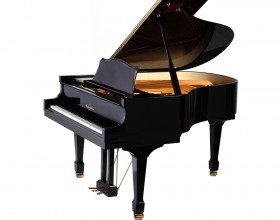 WMG 600