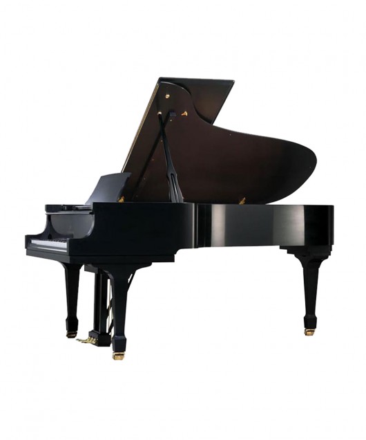JP228c