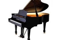 WMG 650 (660)